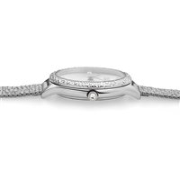 Watch Alviero Martini Woman Ibiza in Steel CS.4629S/02M - CS.4629S/02M